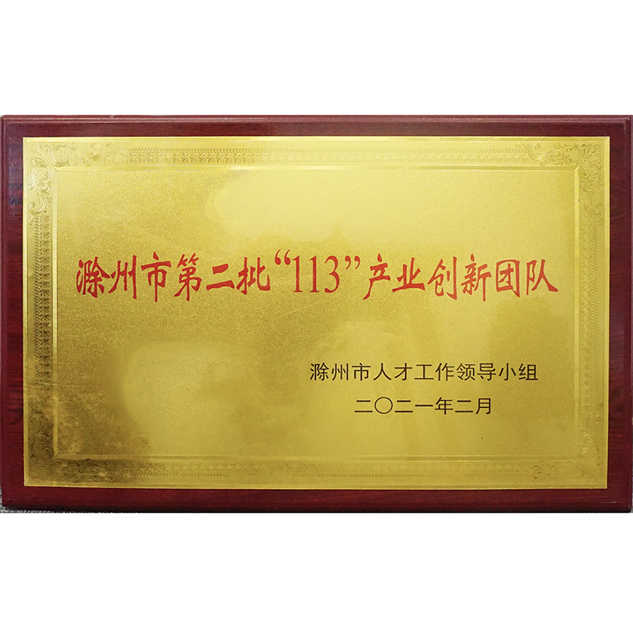 The second batch of 113 industrial innovation teams in Chuzhou City